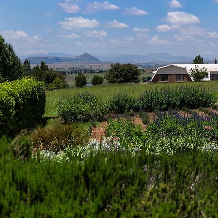 Lavender Hill Country Estate And Wedding Venue ξενώνας Βηθλεέμ Εξωτερικό φωτογραφία