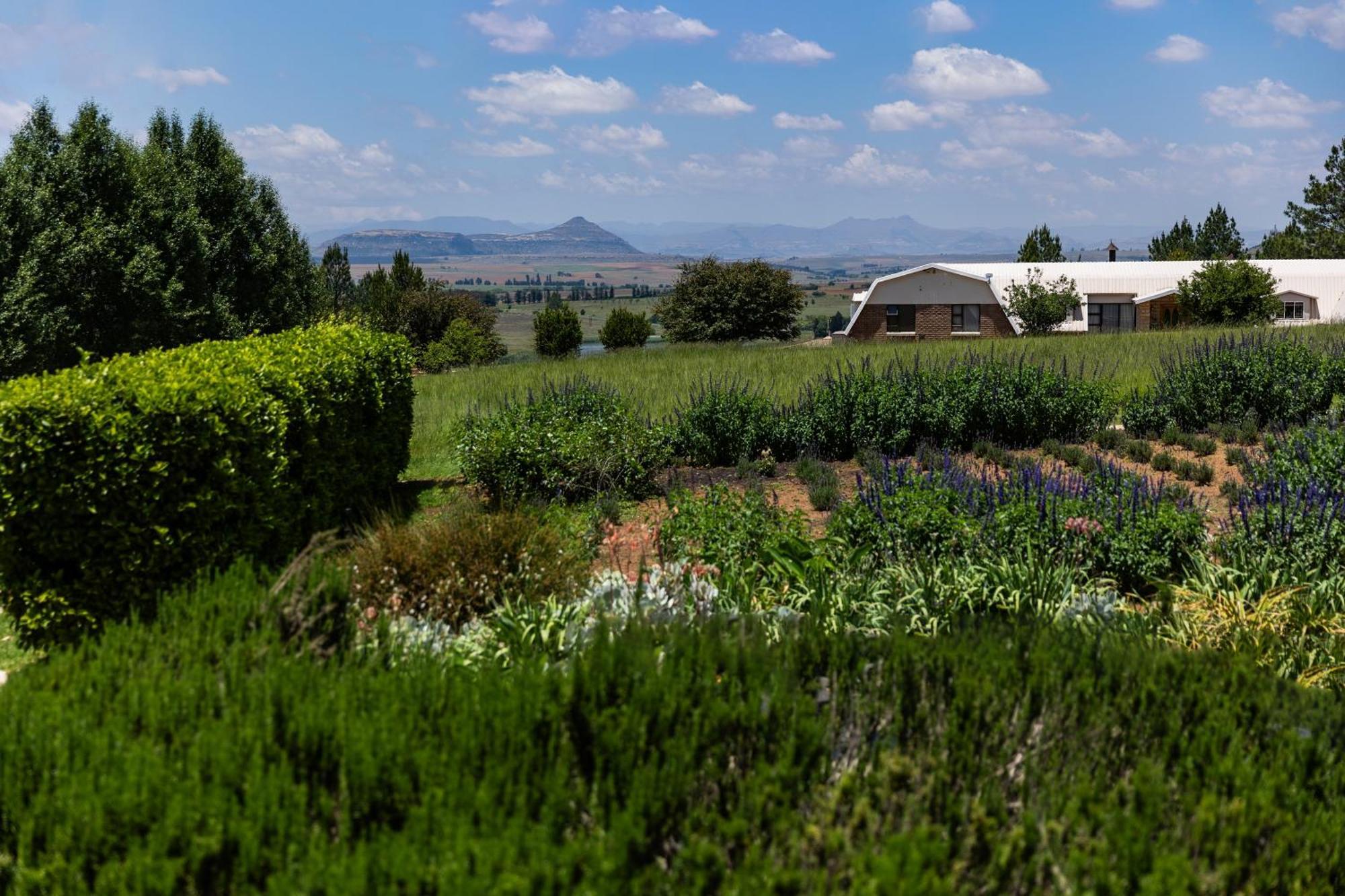 Lavender Hill Country Estate And Wedding Venue ξενώνας Βηθλεέμ Εξωτερικό φωτογραφία