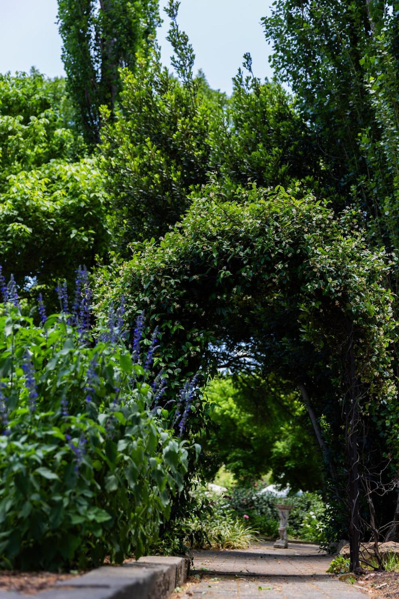 Lavender Hill Country Estate And Wedding Venue ξενώνας Βηθλεέμ Εξωτερικό φωτογραφία