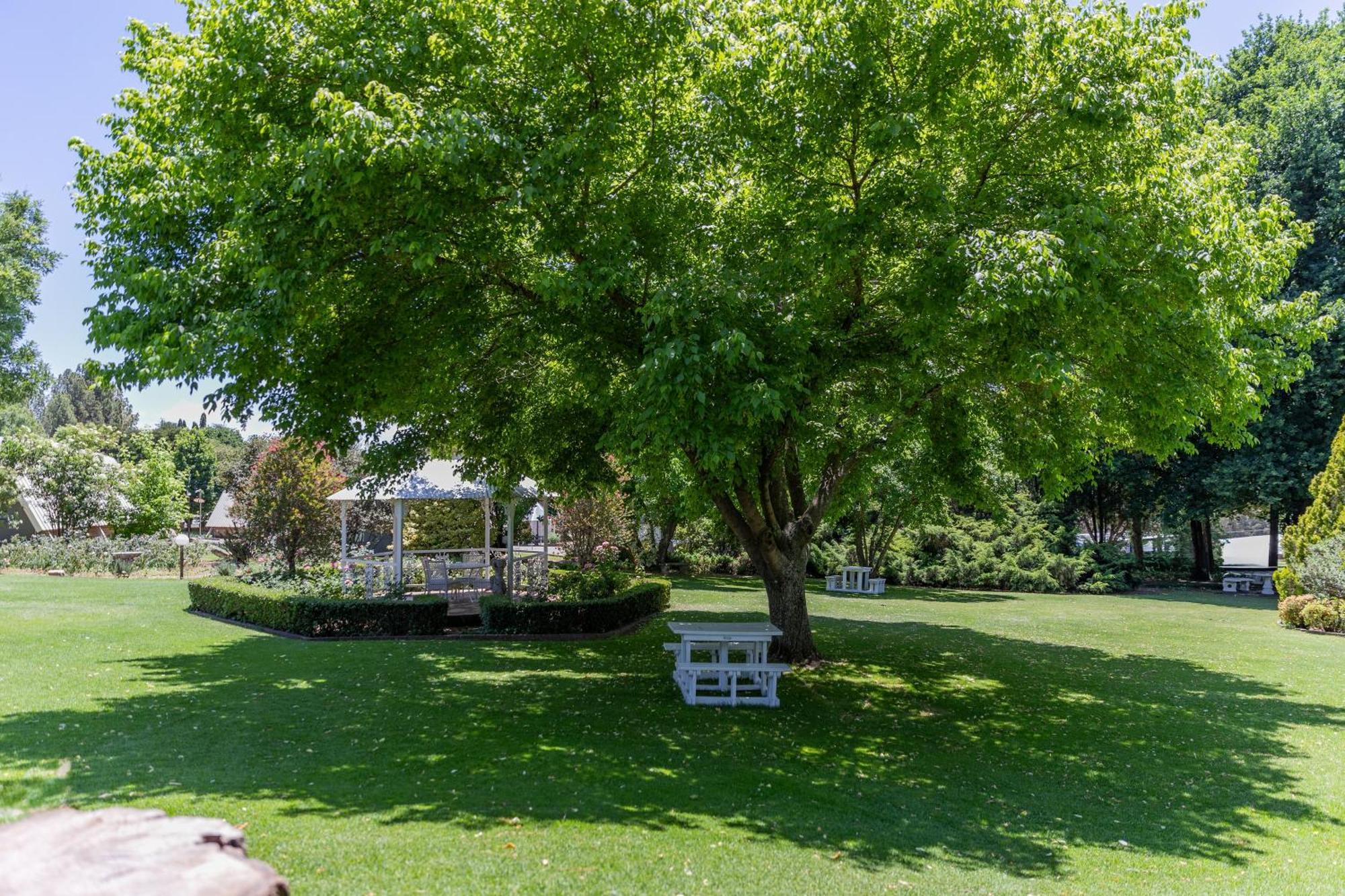 Lavender Hill Country Estate And Wedding Venue ξενώνας Βηθλεέμ Εξωτερικό φωτογραφία