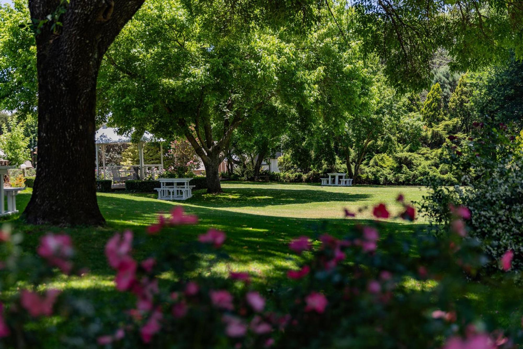 Lavender Hill Country Estate And Wedding Venue ξενώνας Βηθλεέμ Εξωτερικό φωτογραφία